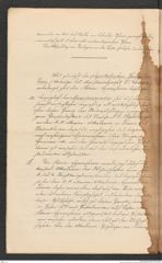 Nachlass Franz Steindachner, Prospect der Adria-Commission (Mai 1874), Inv.Nr. 4.01, Seite 20
